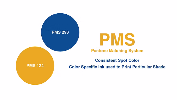 Blue circle labeled PMS 293 and gold circle labeled PMS 124 illustrate Pantone Matching System for consistent spot color printing.